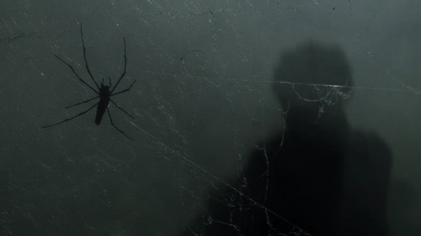 Virgil zbliża się do pajęczej sieci w chodzącym martwym sezonie 11
