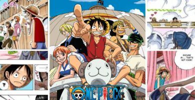 Czy Luffy jest gejem, hetero czy bezpłciowym? 13 luffy love interest
