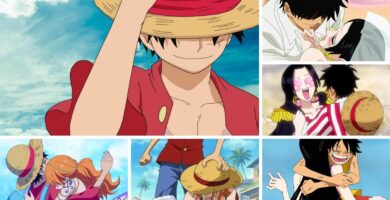 luffy love interest