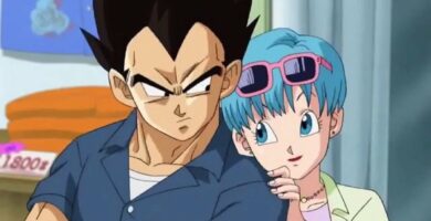 How Did Bulma And Vegeta Get Together