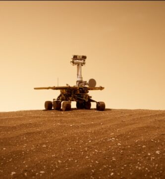 oppy