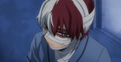 todoroki injured