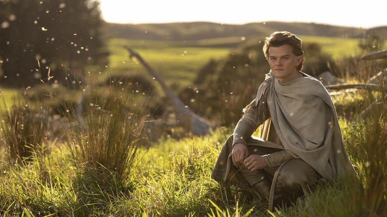 Elrond siedzi na polu